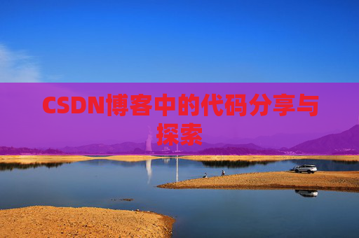 CSDN博客中的代码分享与探索